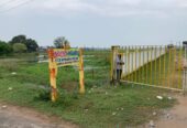 Best Price DTCP approved plots at THIRUNINDRAVUR